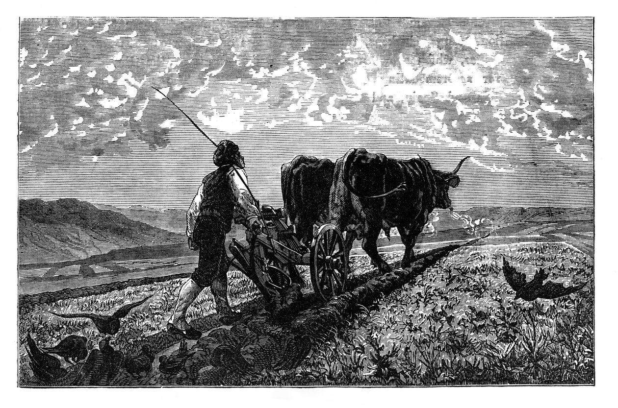 En fransk landbruker, ca 1890 av Unbekannt
