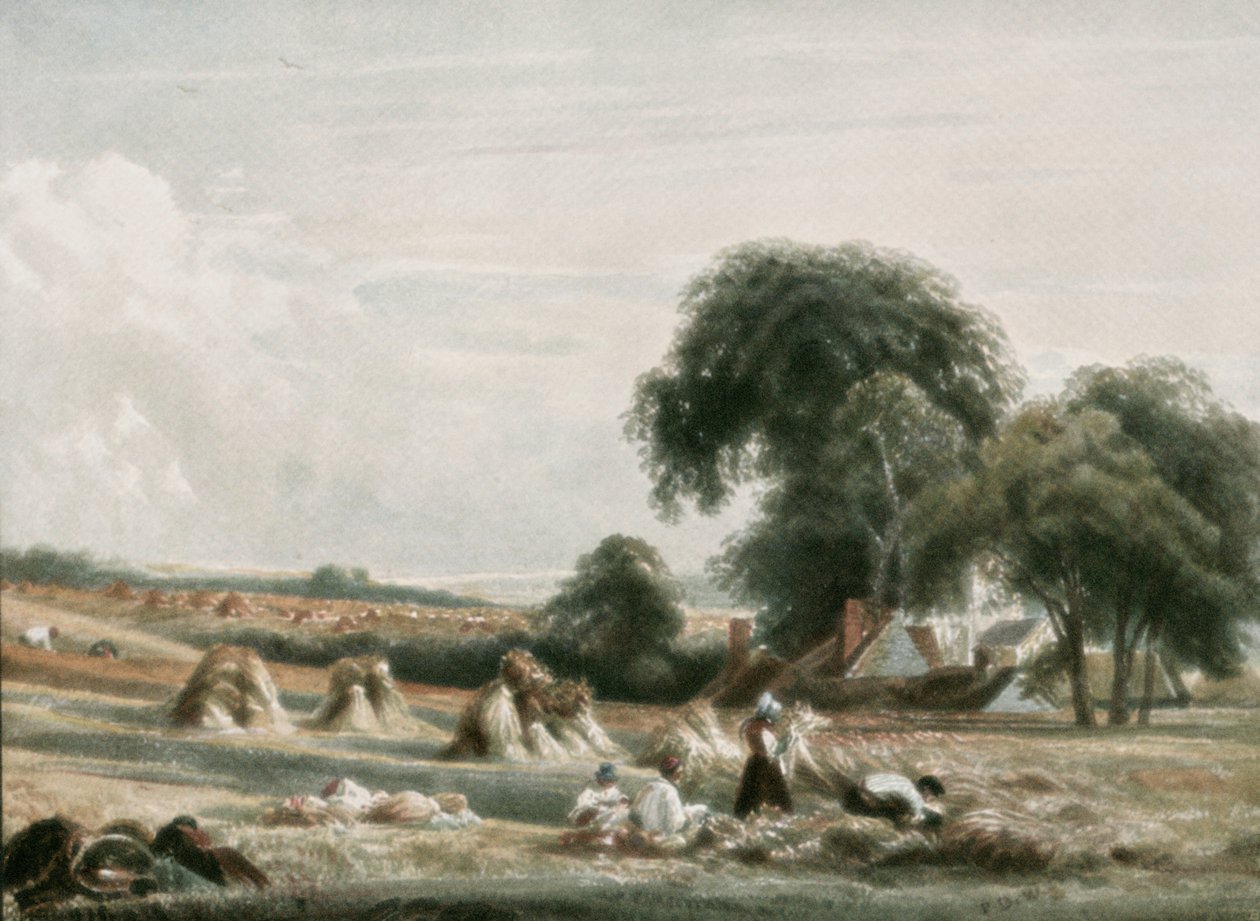 A Harvest Scene, c1900. av Unbekannt