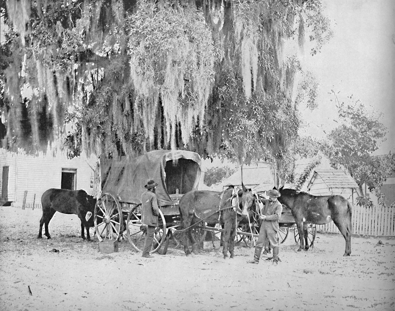 En kjøpmann fra San Antonio, Texas, c1897. av Unbekannt