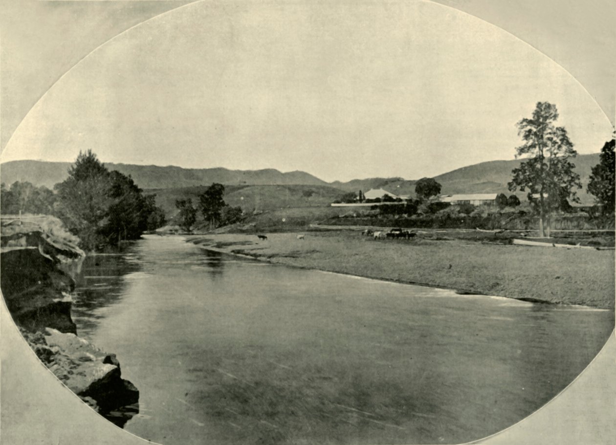 A New South Wales Station Homestead, 1901. av Unbekannt