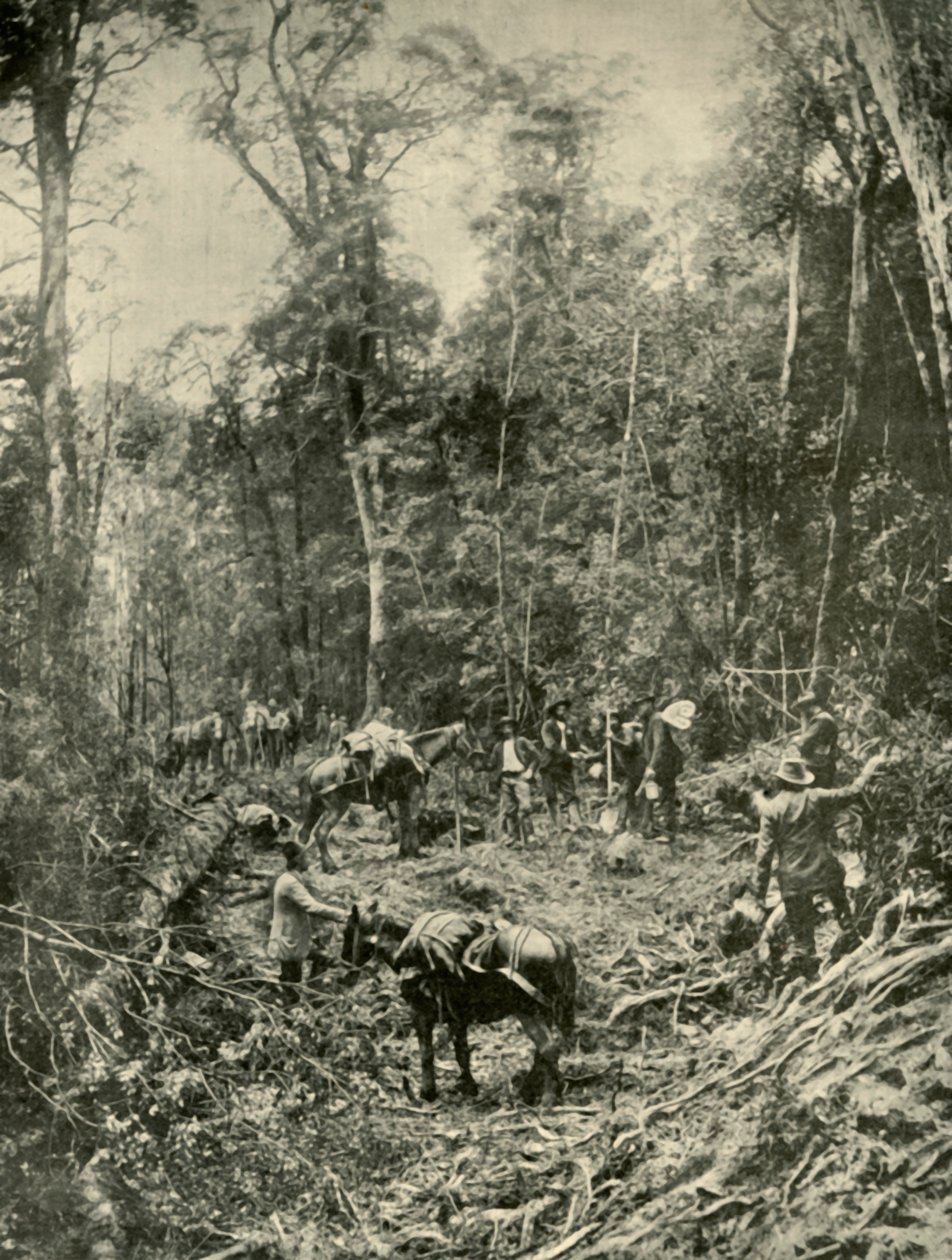 A Rough Road, Tasmania, 1901. av Unbekannt