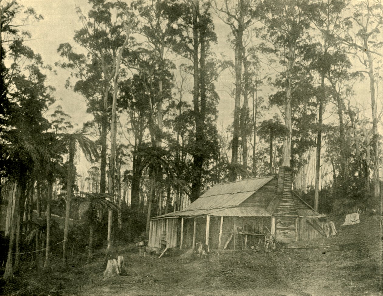En rustikk bolig, 1901. av Unbekannt