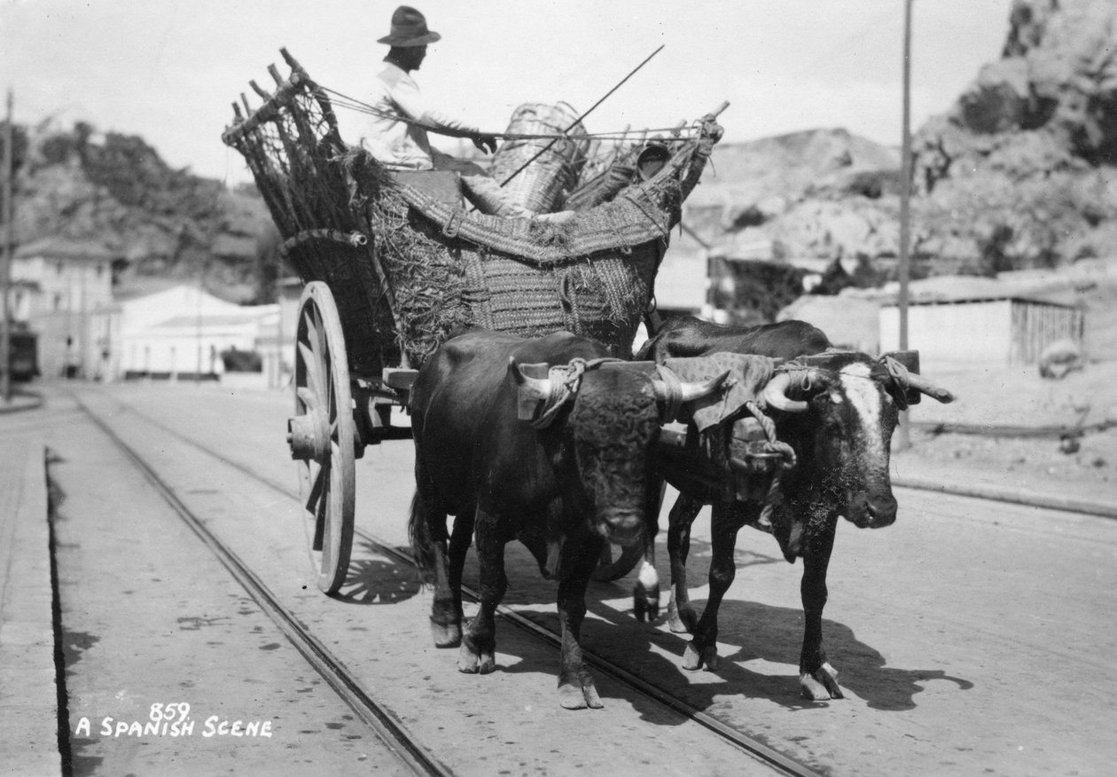En spansk scene, 1900-tallet av Unbekannt