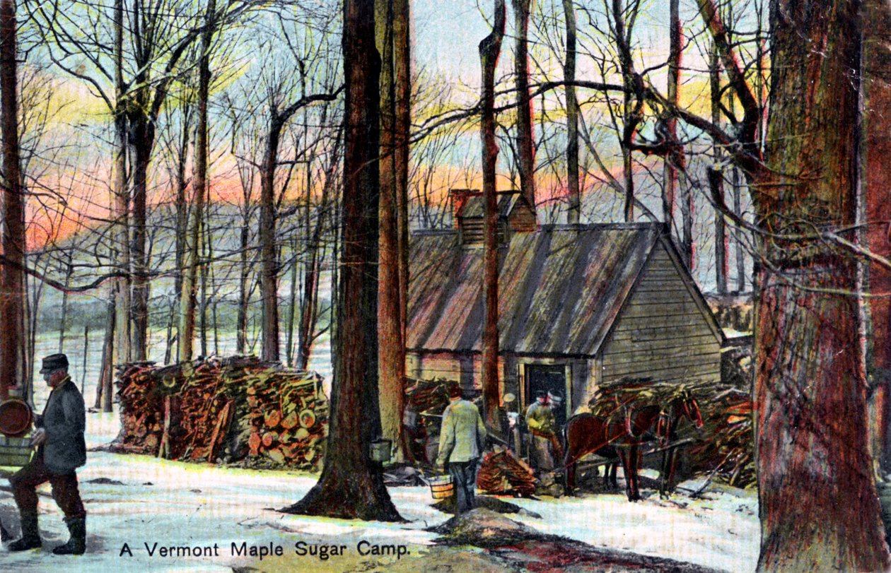 En Vermont Maple sugar camp, USA, tidlig på 1900-tallet av Unbekannt