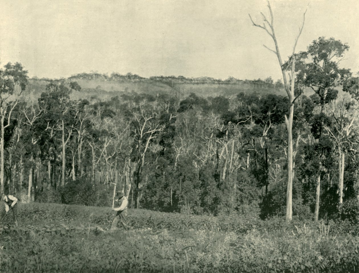 En viktoriansk fjellgård, 1901. av Unbekannt