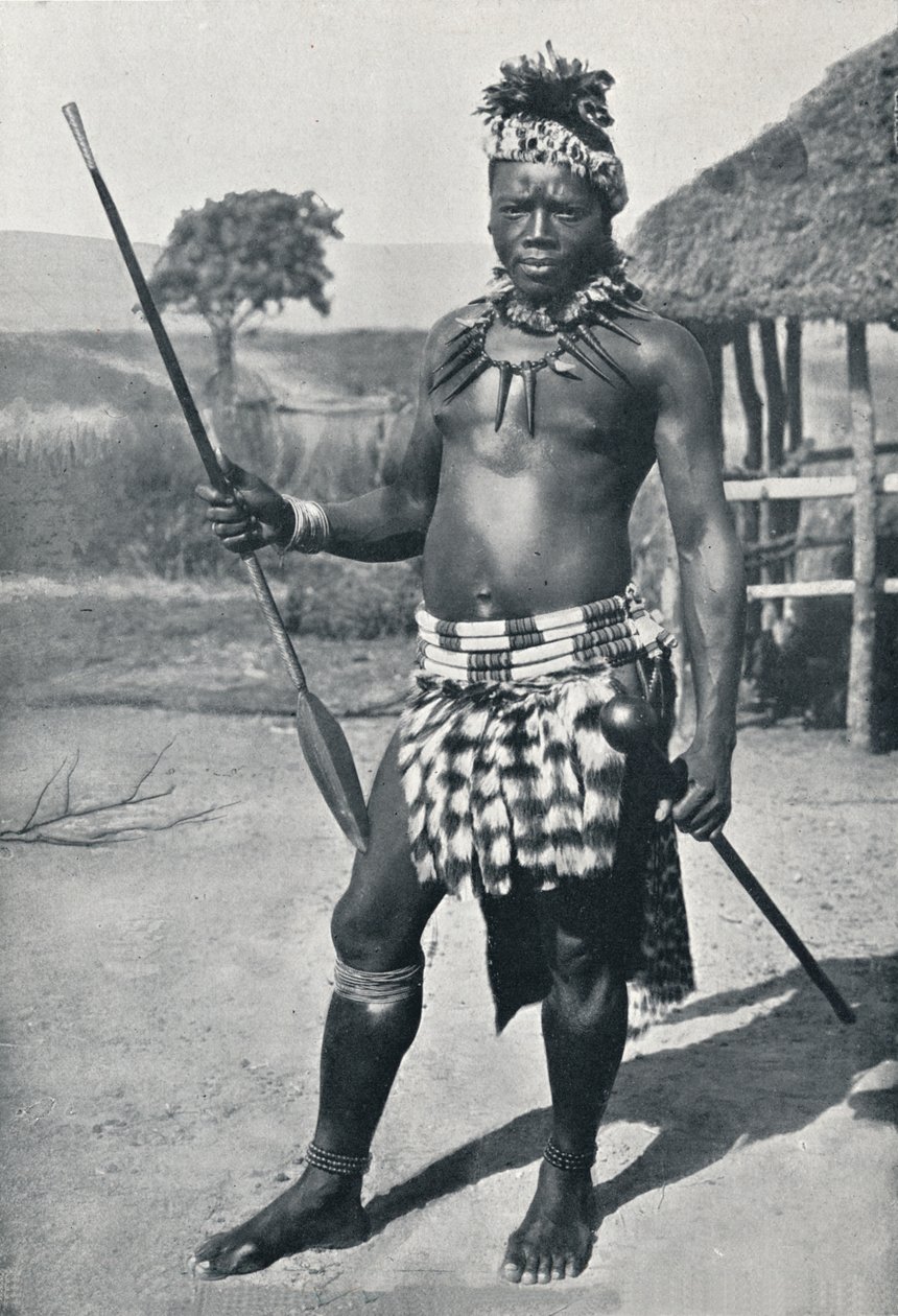 En Zulu-høvding, 1902 av Unbekannt