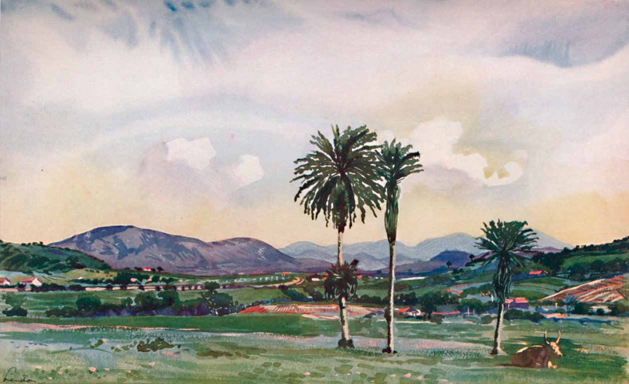 Litt av Rios North-Western Suburbs, langs ruten til Central Railway, 1914 av Unbekannt