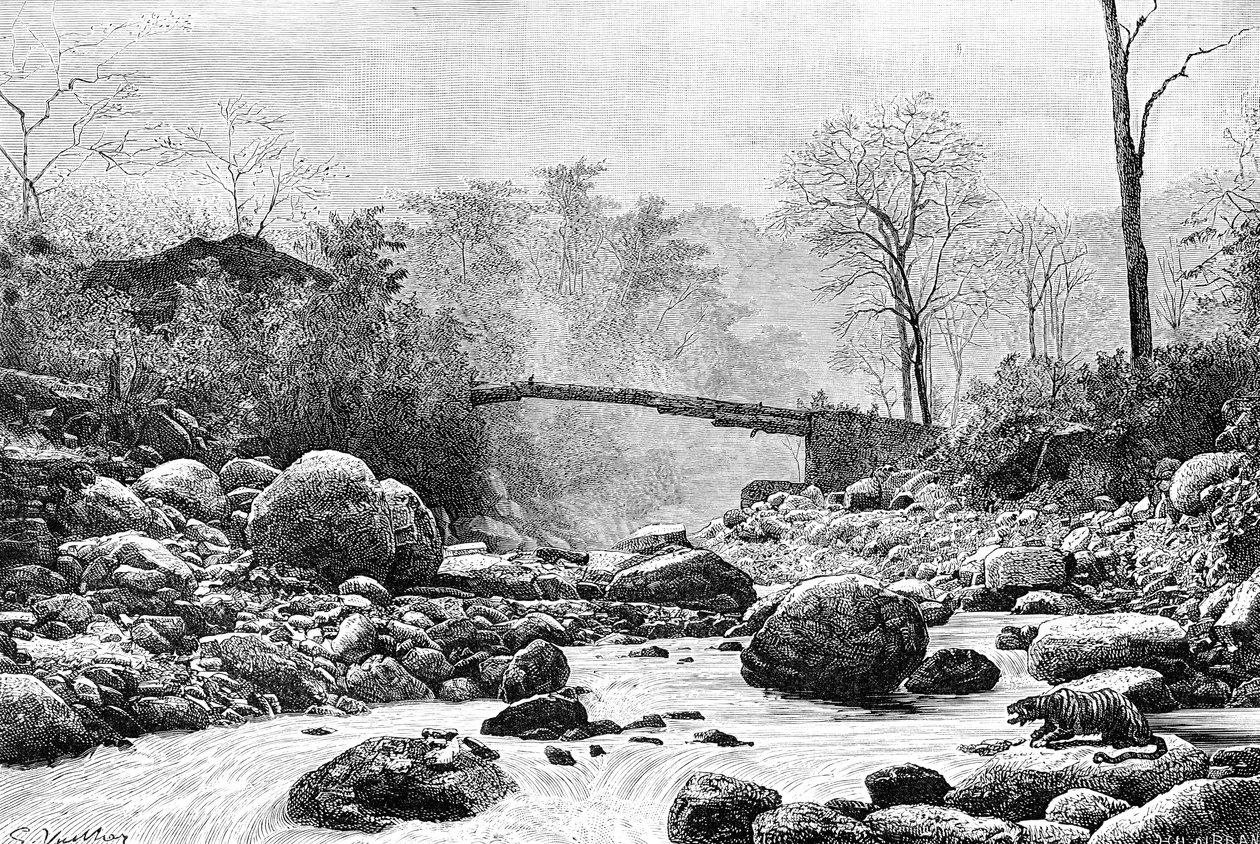 En bro over Rangit, en sideelv til elven Teesta, India, 1895 av Unbekannt