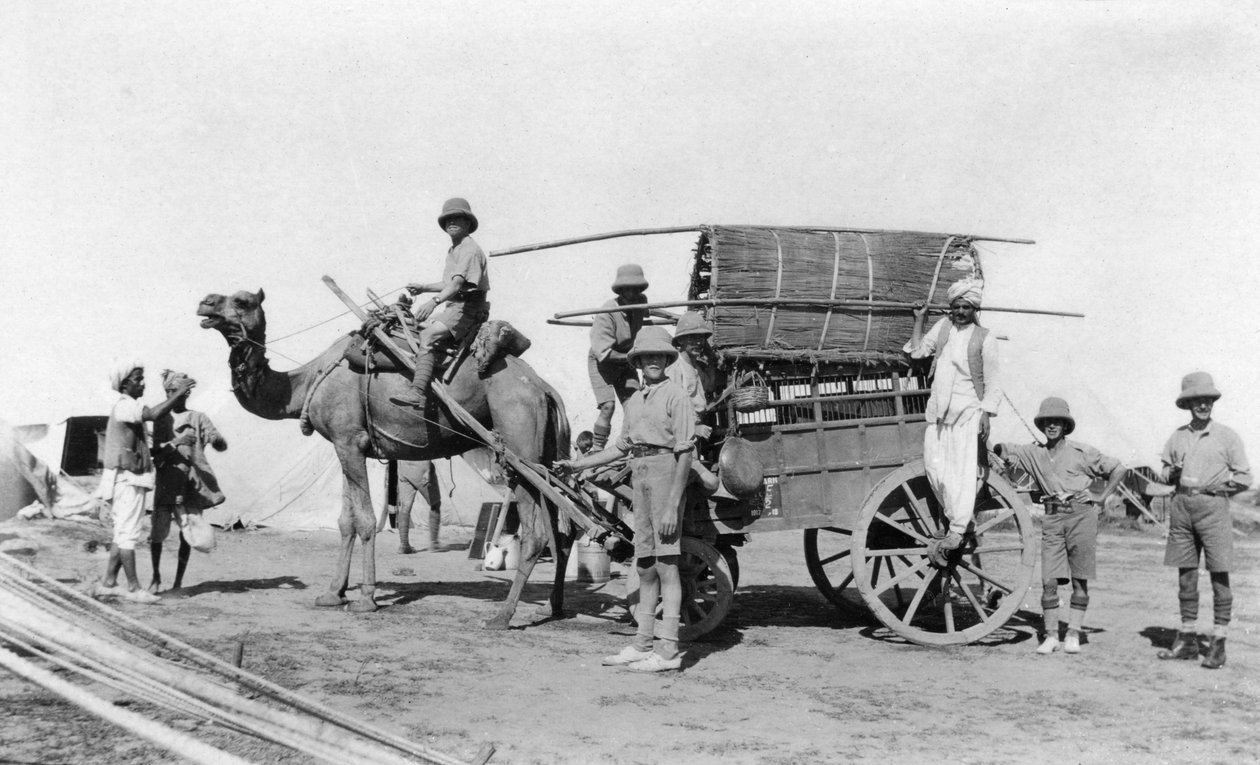 En kamelvogn, India, 1916-1917 av Unbekannt