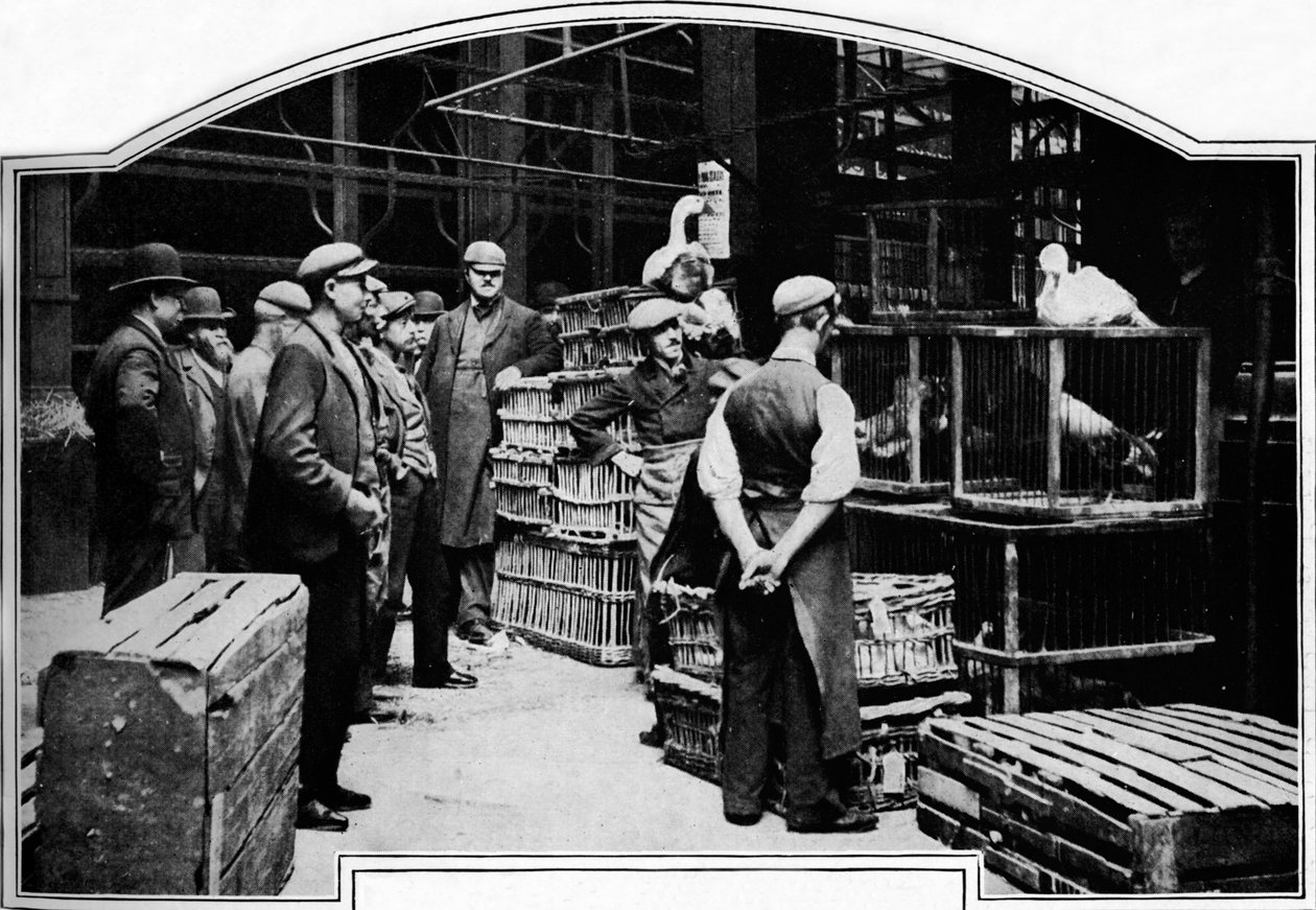 Et hjørne av Leadenhall Market, London, c1901 1901 av Unbekannt