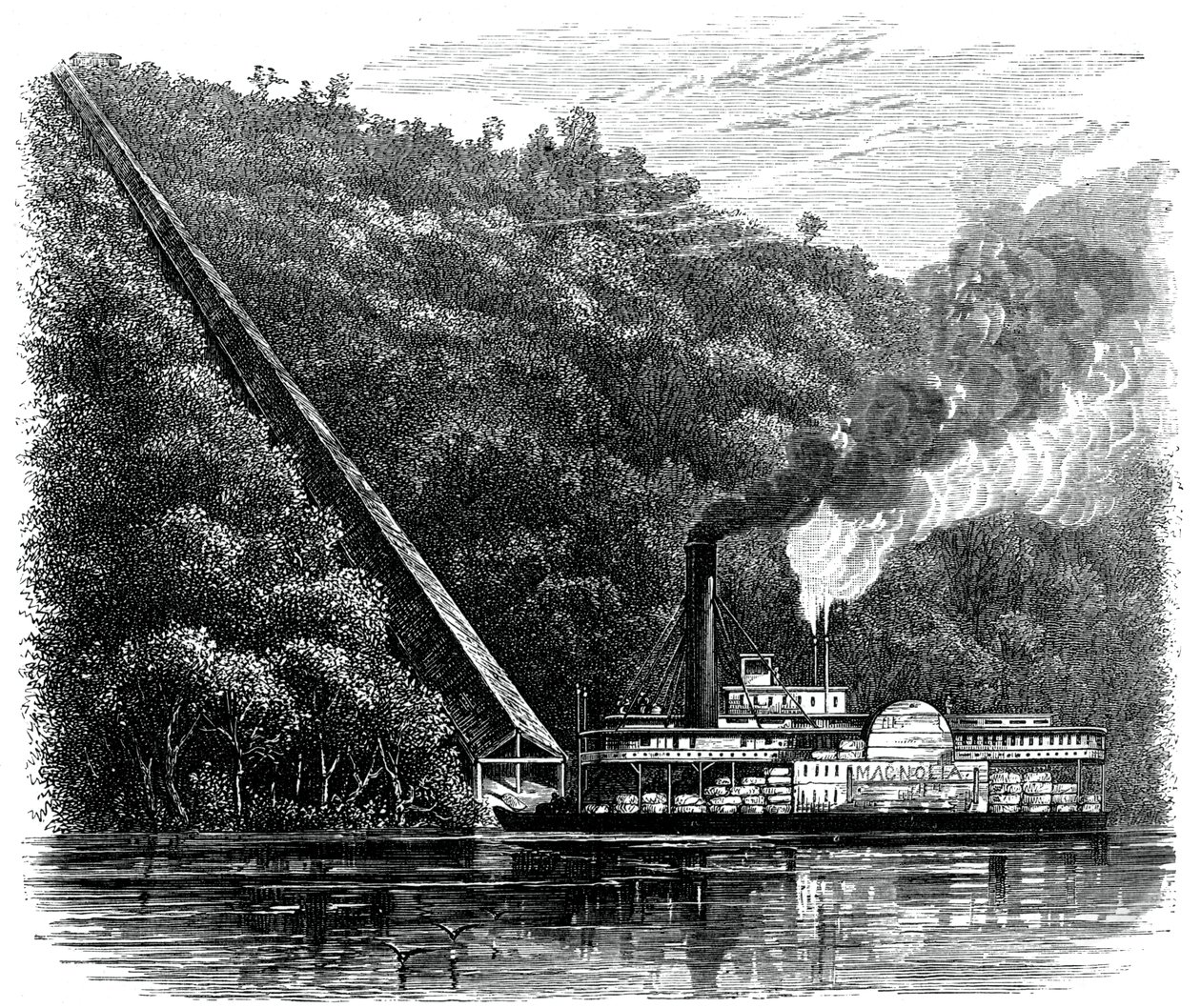 En bomullssjakt, USA, c1880 av Unbekannt