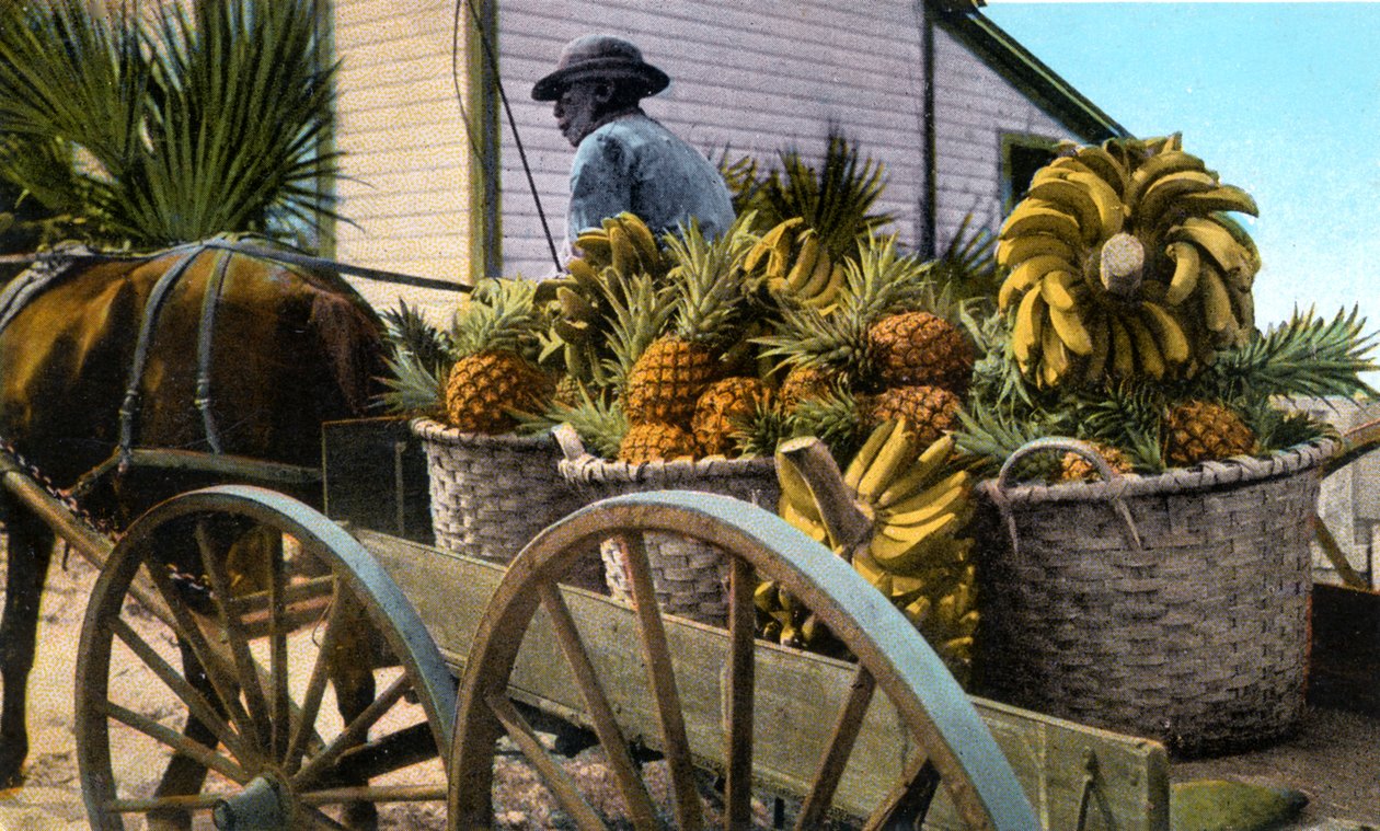 En frukthandler, Taboga Island, Panama, tidlig på 1900-tallet av Unbekannt