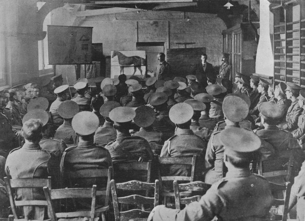Et foredrag om hestens anatomi, 1915 av Unbekannt