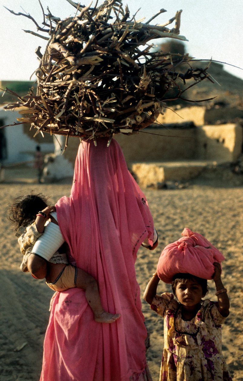 En lokal trehoggerfamilie fra en landsby i Rajasthan. Rajasthan, India. 25. februar 2005. (bilde) av Unbekannt