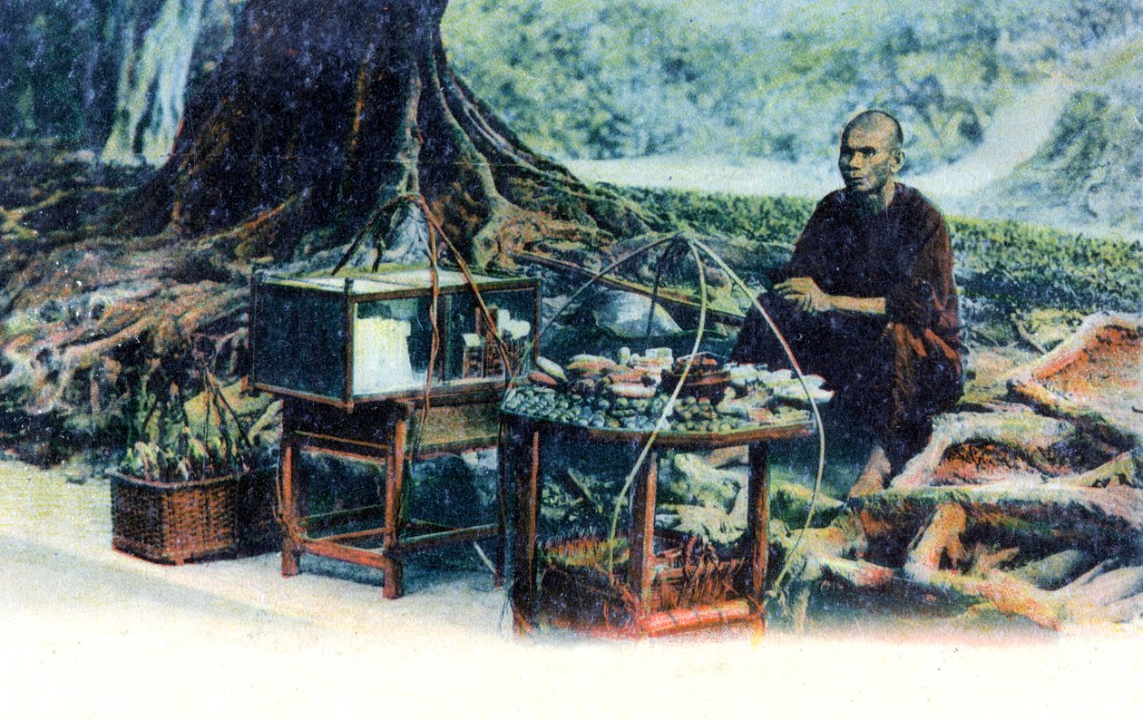 En mann som selger frukt under et tre, Hong Kong, Kina, ca 1900-tallet av Unbekannt