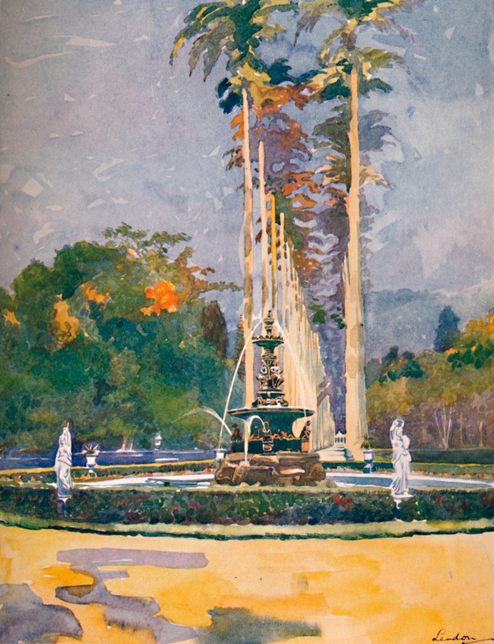 En del av Avenue of Royal Palms, Botanical Gardens, 1914 av Unbekannt