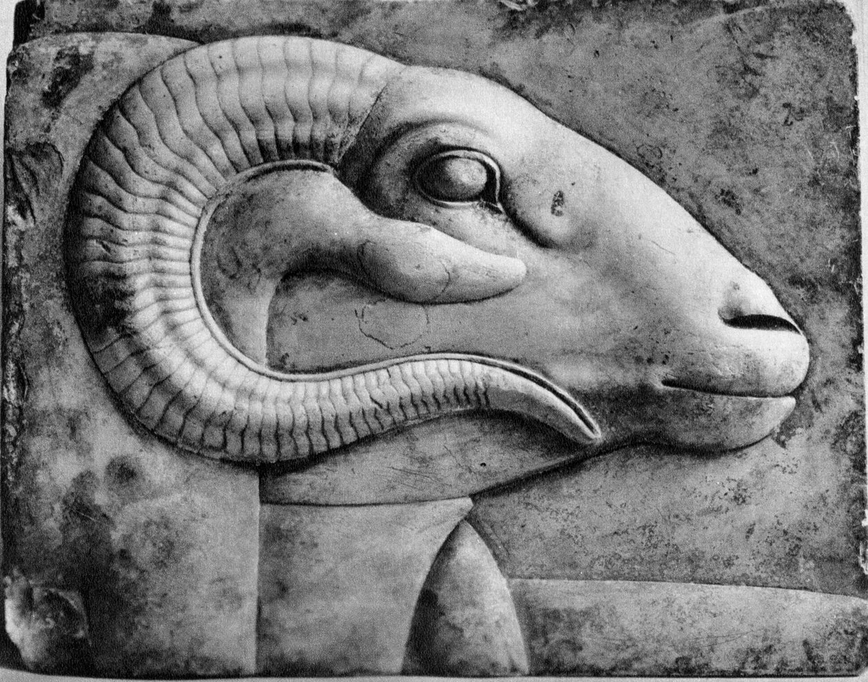 Et ramshode, Egypt, 1936 av Unbekannt