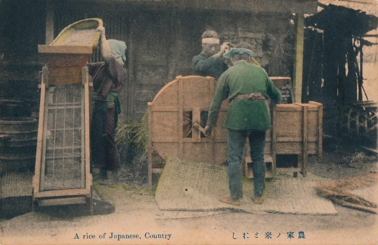 En ris av japansk, Country, c1910. av Unbekannt