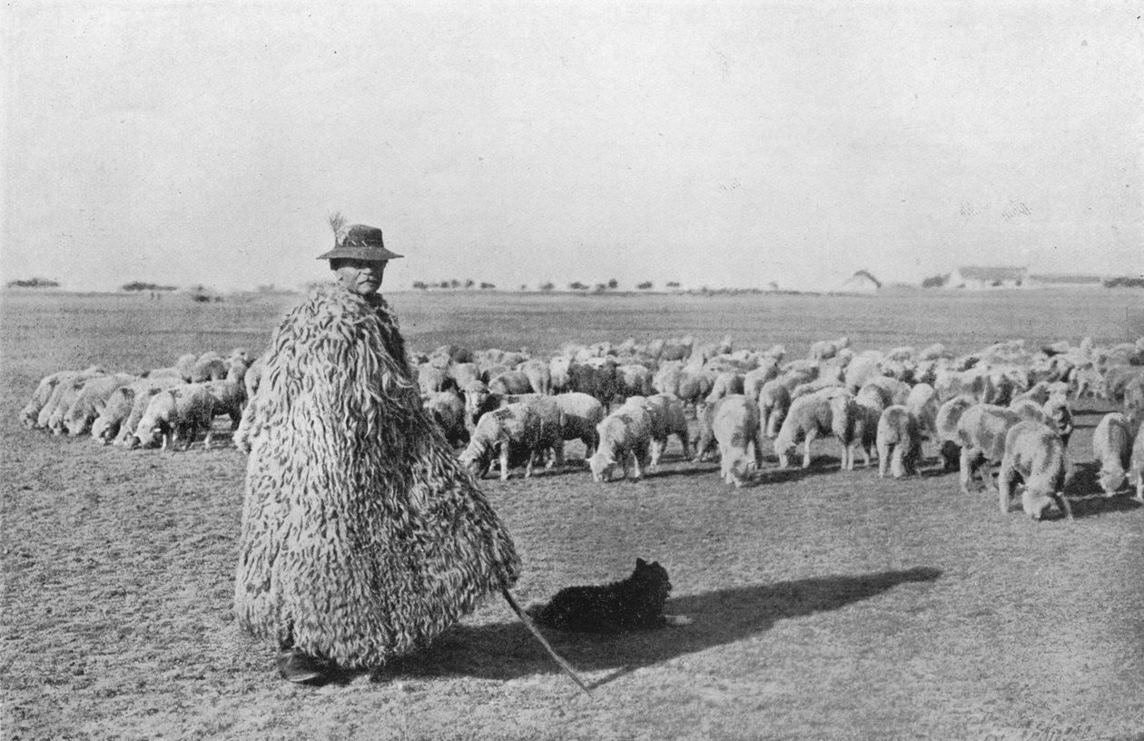 En typisk hyrde og flokken hans på slettene i Ungarn, 1915 av Unbekannt