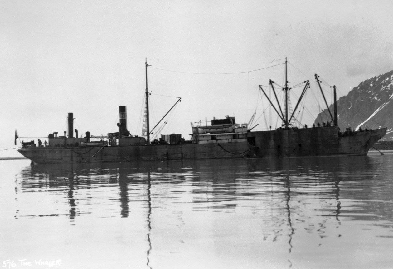 En hvalfanger, Magdalene Bay, Spitzbergen, Norge, 1929 av Unbekannt