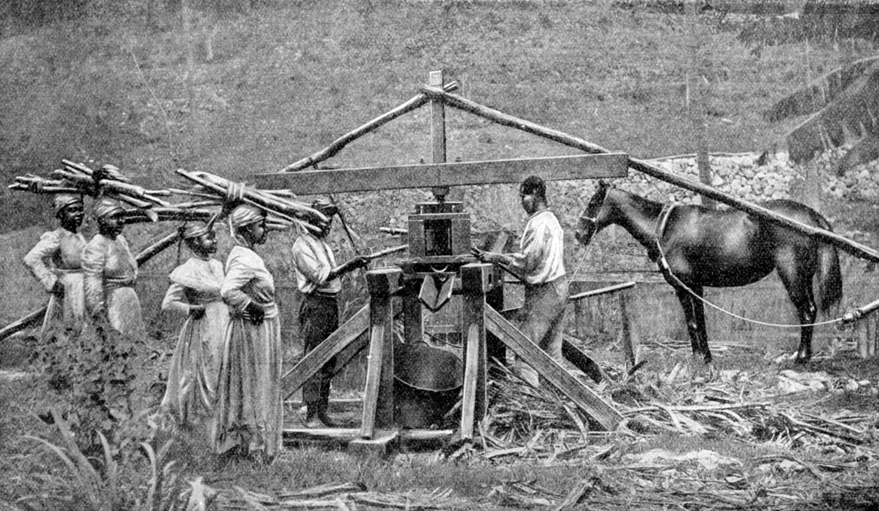 Et tre, hestedrevet knuseverk av sukkerrør, Vestindia, 1922 av Unbekannt