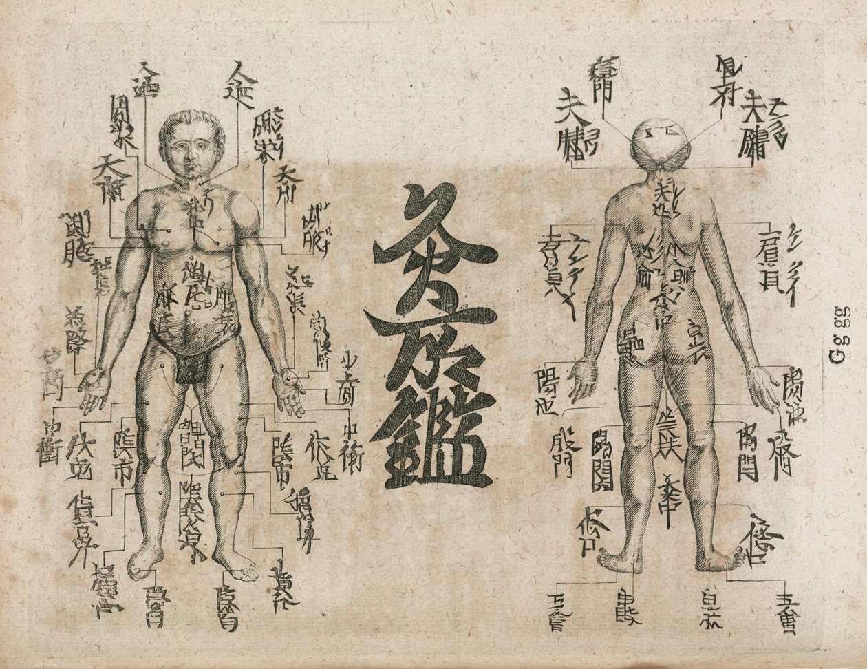 Akupunkturkart for menneskekroppen som viser moxibustion-punkter (Moxabustion-diagram som viser hvor aper bør unngås av Unbekannt