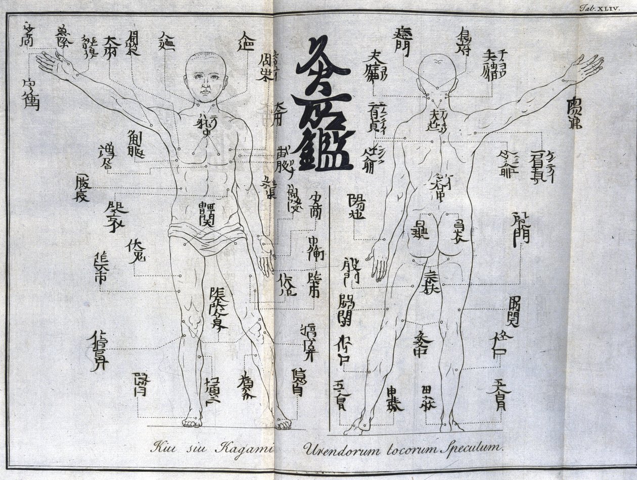 Akupunktur: kart over menneskekroppen som indikerer moxibussjonspunkter, Japan (diagram relatert til moxa, c 1690) av Unbekannt