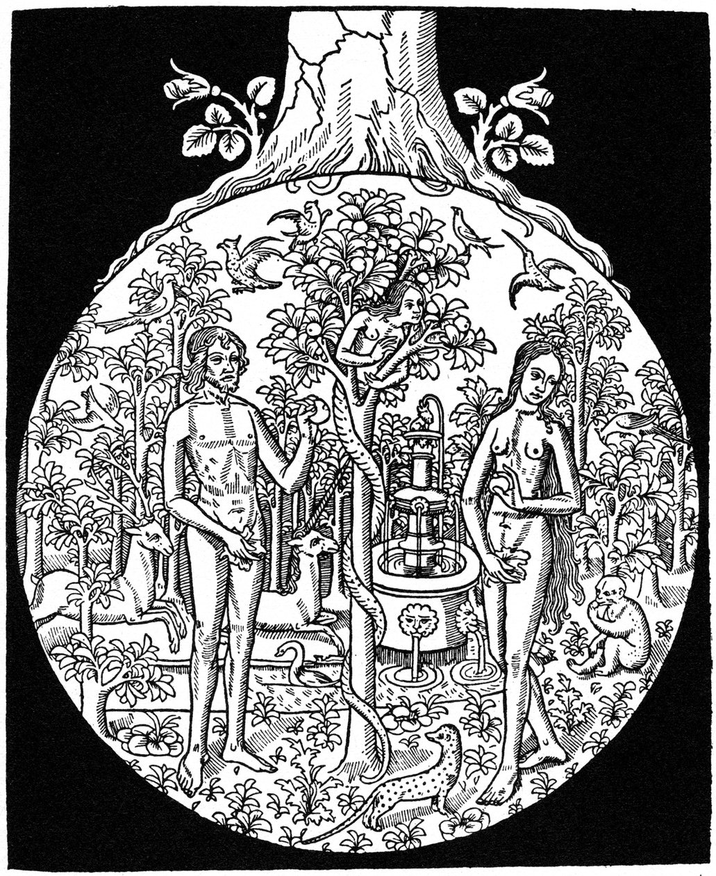Adam og Eva, 1505 1964 av Unbekannt