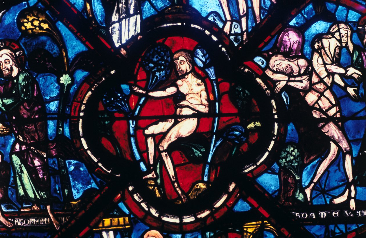 Adam in Eden, farget glass, Chartres Cathedral, Frankrike, 1205-1215 av Unbekannt