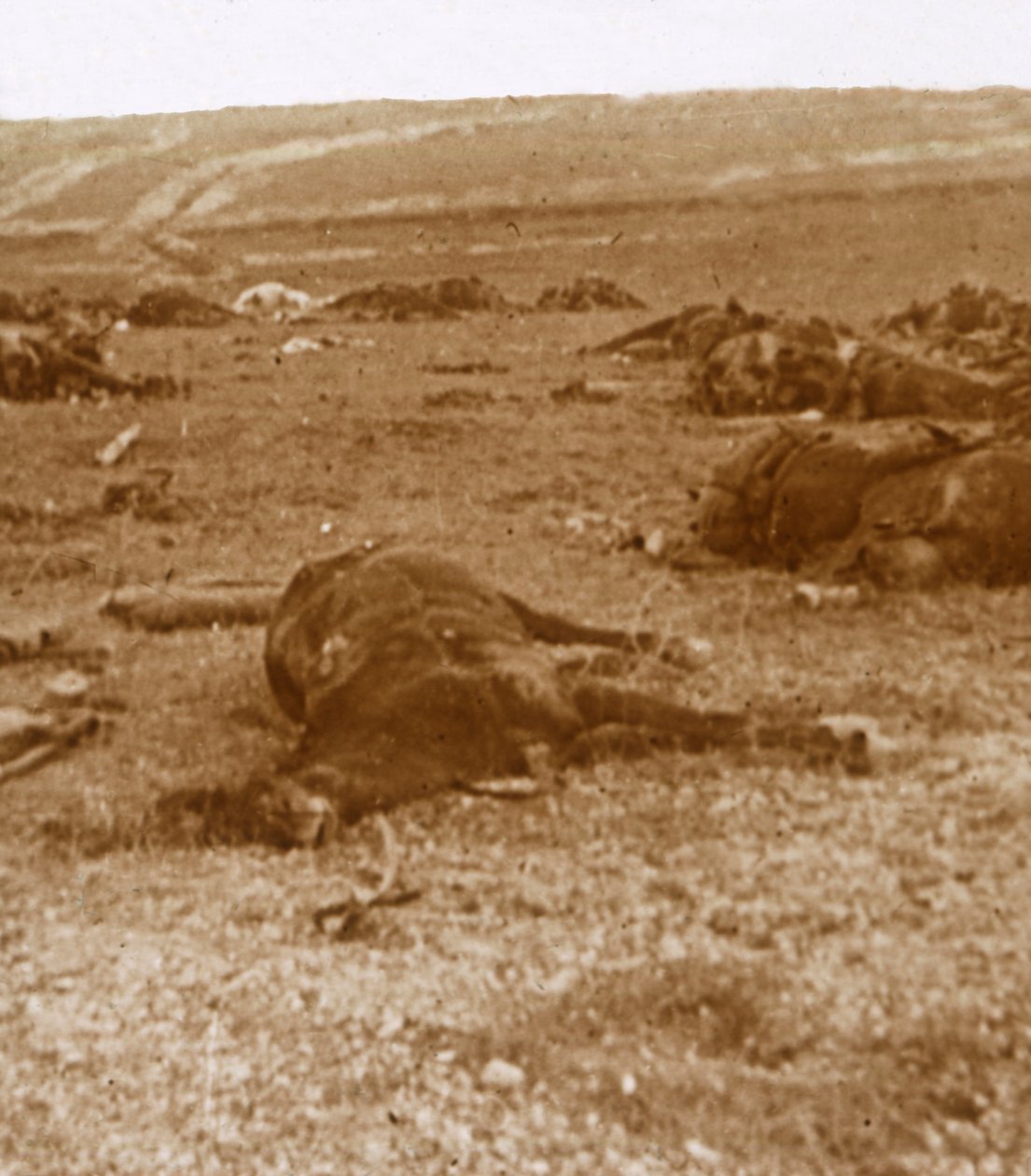 Etter siktelsen, Beauséjour, Nord-Frankrike, c1914-c1918 av Unbekannt
