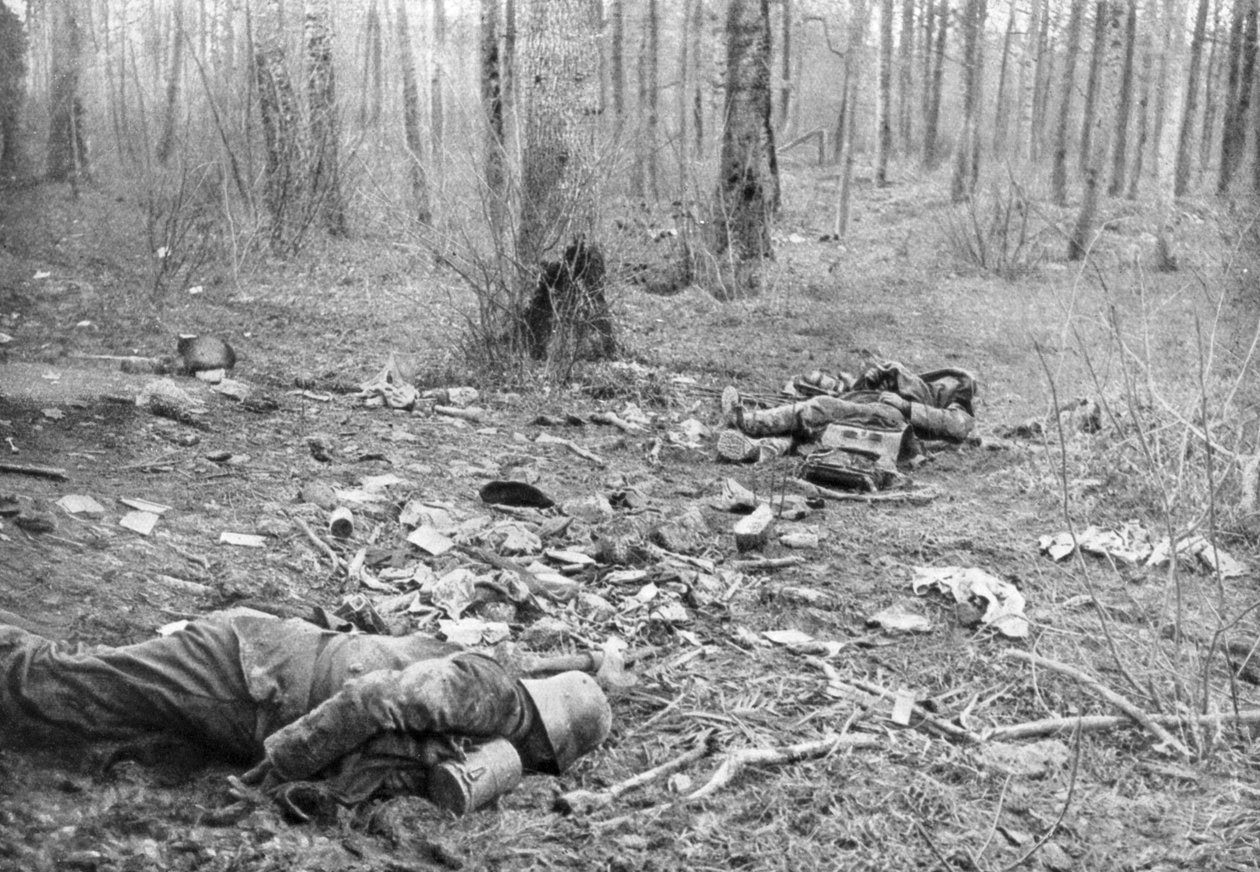 Etterdønningene av kampene i parken Plessis-de-Roye, Picardie, Frankrike, 30. mars 1918 av Unbekannt