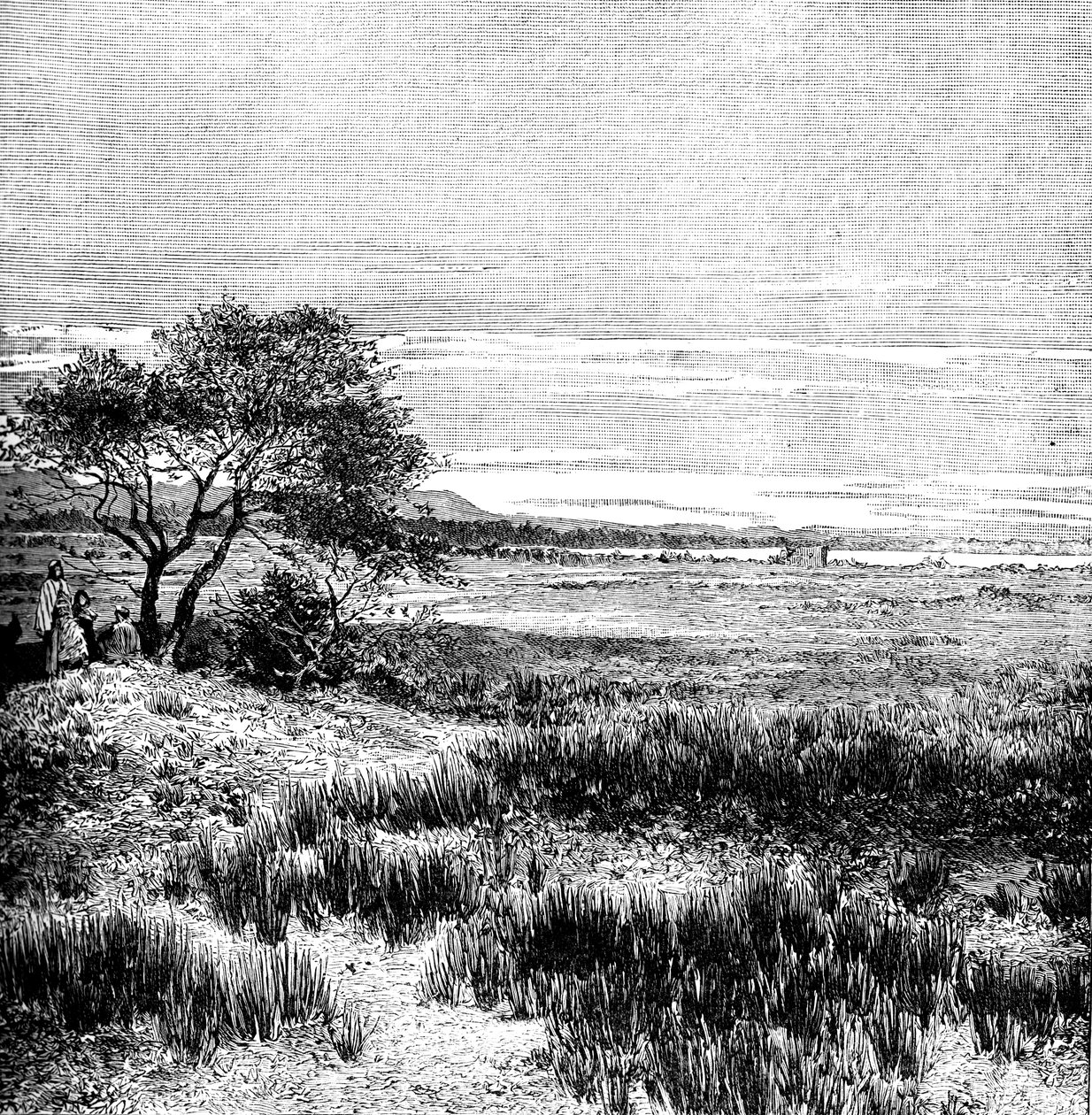 Agha Valley, Central Pampa, Argentina, 1895 av Unbekannt