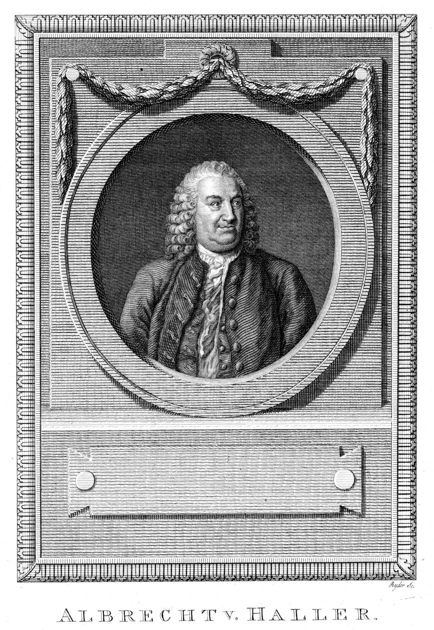 Albrecht von Haller , sveitsisk lege og vitenskapsmann, c1770 c1780 av Unbekannt