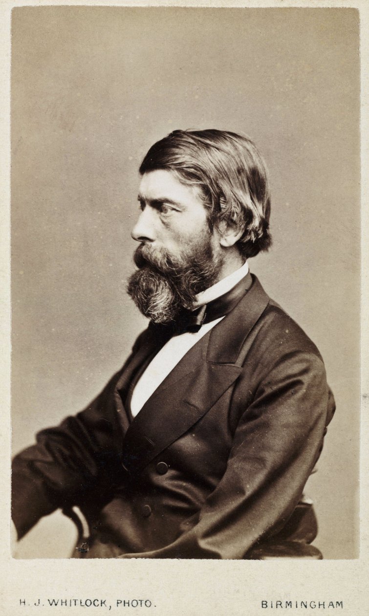 Alexander William Williamson , skotsk kjemiker, ca 1865 av Unbekannt