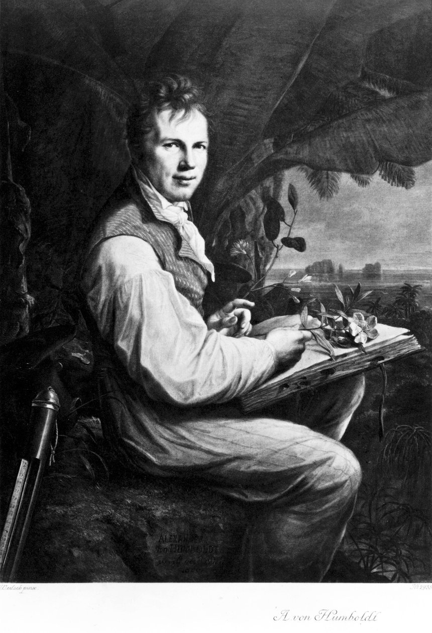 Alexander von Humboldt , tysk naturforsker og oppdagelsesreisende, ca 1806 av Unbekannt