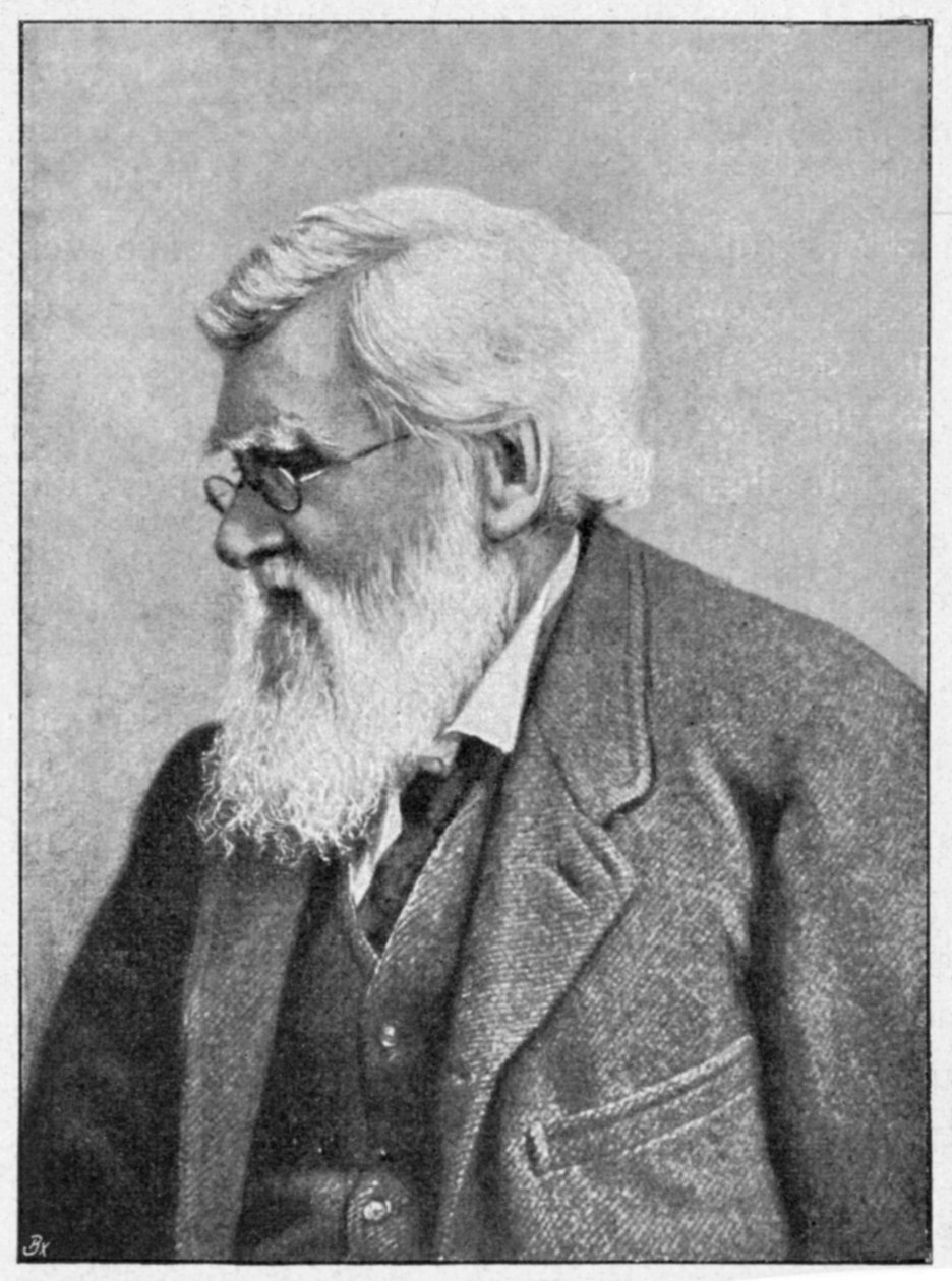 Alfred Russell Wallace, walisisk naturforsker, c1895 av Unbekannt