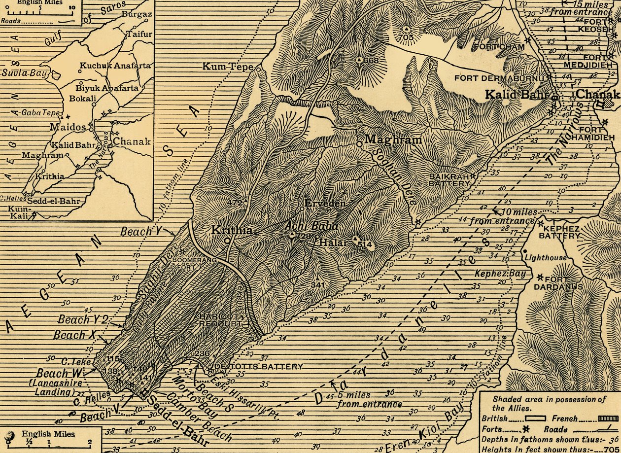 Allierte stillinger på Gallipoli-halvøya i Tyrkia, første verdenskrig, juli 1915, c1920. av Unbekannt