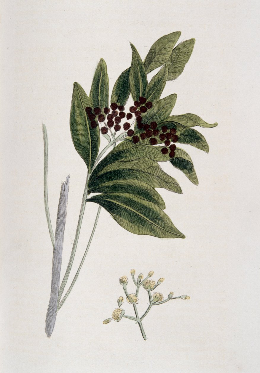 Allehånde, 1823 av Unbekannt