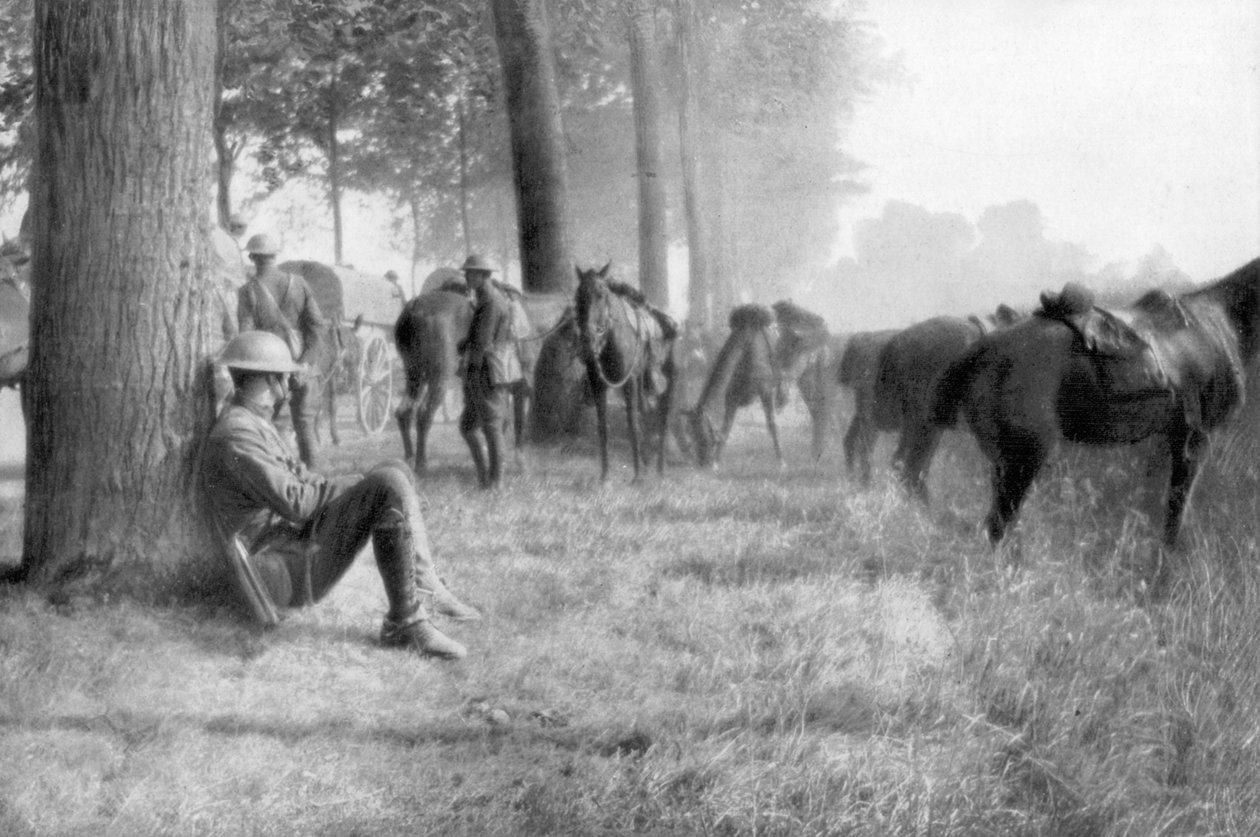 Amerikansk kavalerienhet i ro, Chemin des Dames, Frankrike, 1918 av Unbekannt