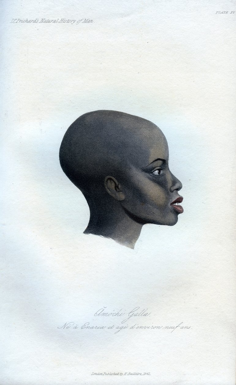 Amochi Galla, et portrett av en Galla, 1848 av Unbekannt