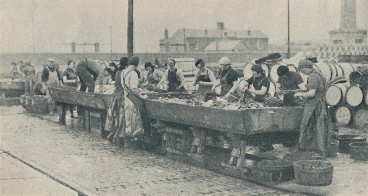 En viktig del av industrien. Skotske jenter opptatt med sløying i Yarmouth, 1937 av Unbekannt
