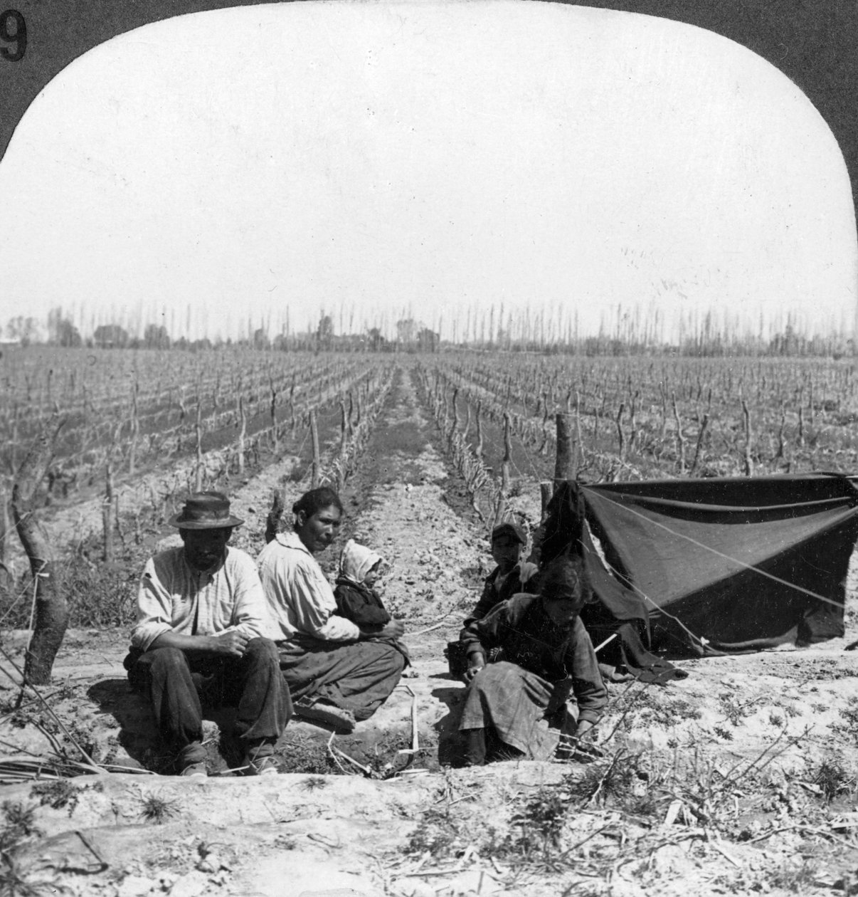 En italiensk nybygger og hans familie, Mendoza, Argentina, 1900-tallet av Unbekannt