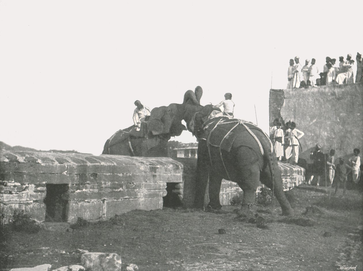 En elefantkamp, Hyderabad, India, 1895. av Unbekannt