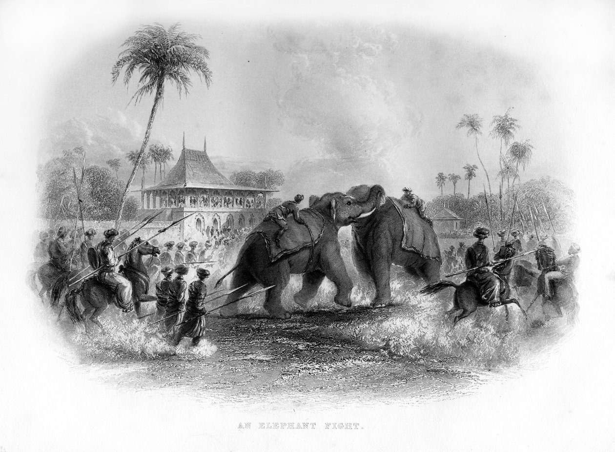 En elefantkamp, India, 1800-tallet av Unbekannt