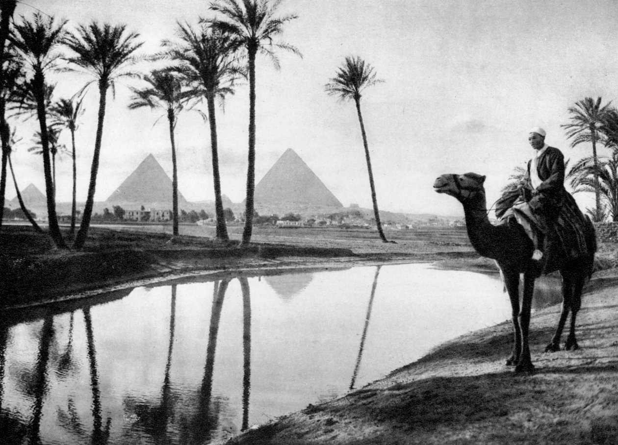 En oase nær Kairo, Egypt, ca 1920-tallet av Unbekannt