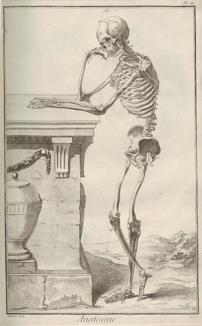 Anatomi. Fra Encyclopédie av Denis Diderot og Jean Le Rond dAlembert, 1751-1765. av Unbekannt