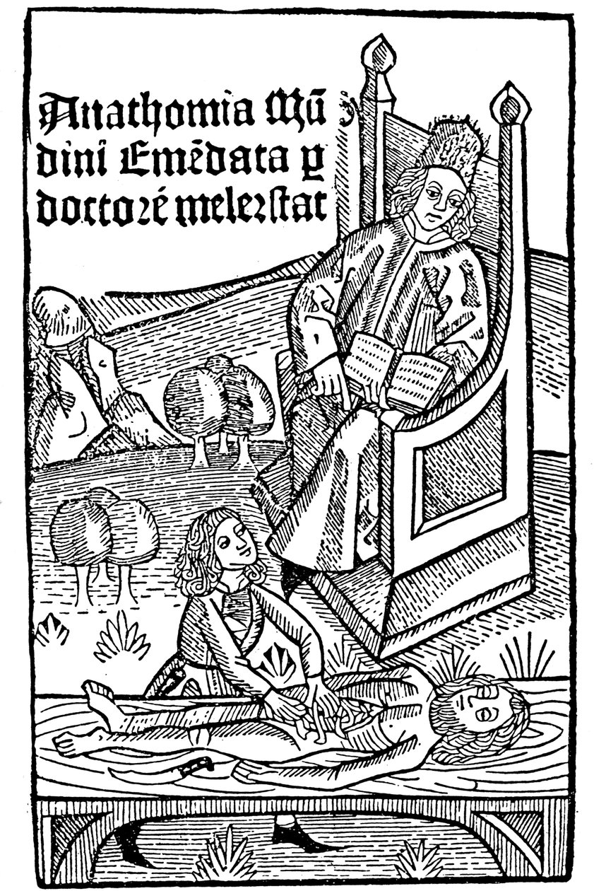 Anatomi demonstrasjon, 1493 av Unbekannt