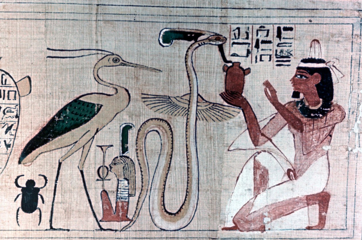 Gammel egyptisk dødspapyrus som kneler foran en slange av Unbekannt