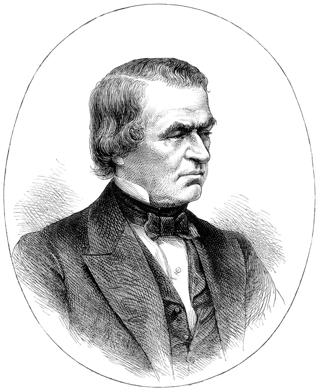 Andrew Johnson, USAs 16. president, c1880 av Unbekannt