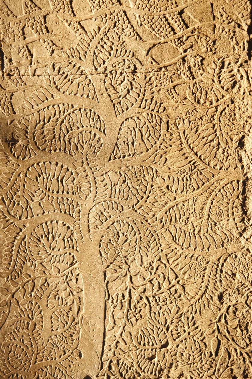 Angkor Wat, utskåret detalj på WallTree, Siem Reap, Kambodsja av Unbekannt